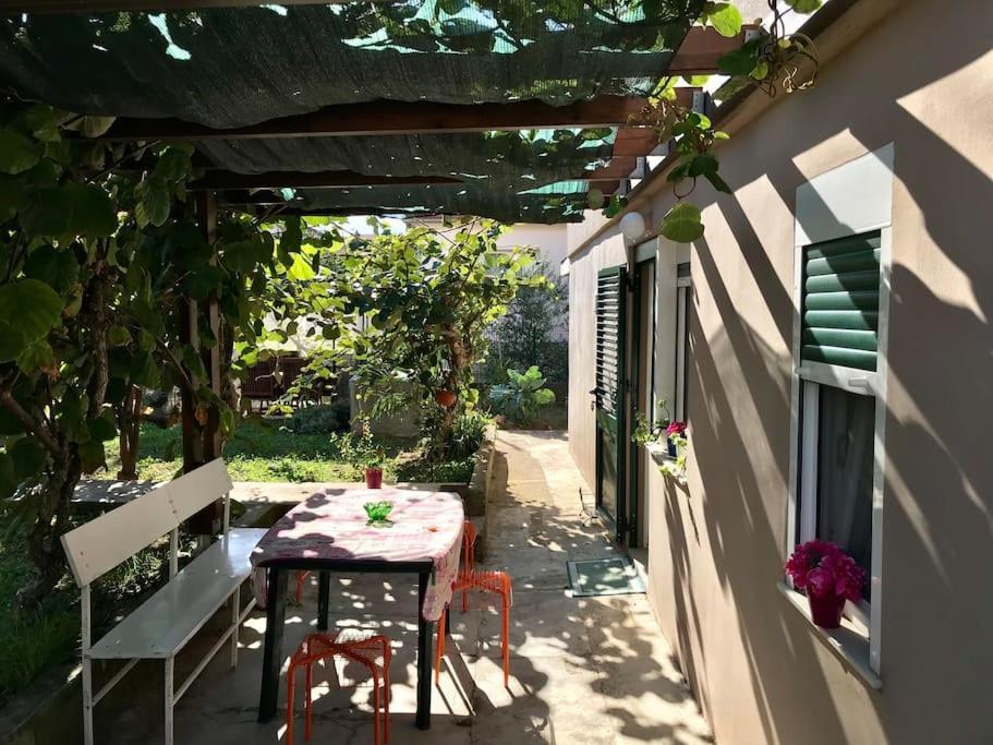 Garden Cozy