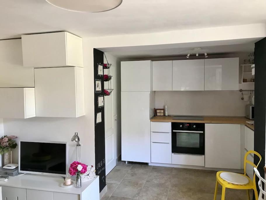 Garden Cozy Apartment