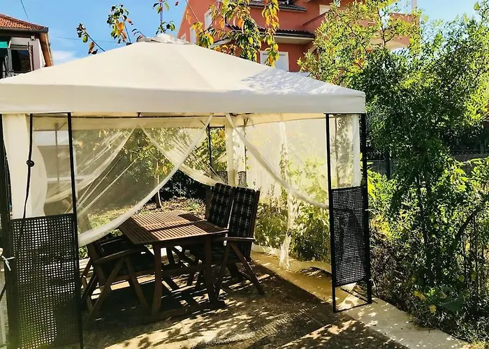 Garden Cozy Apartment