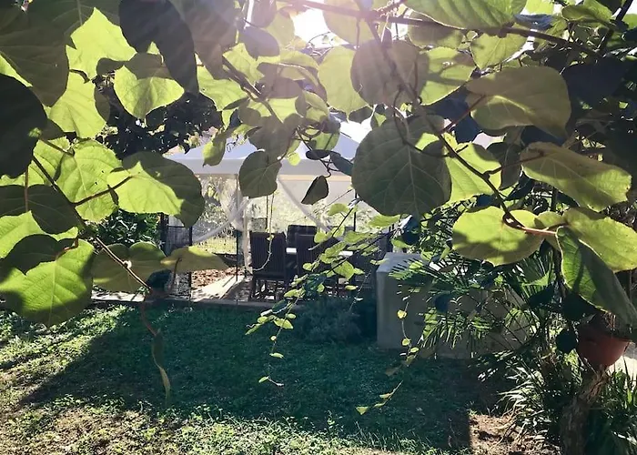 Garden Cozy Apartment