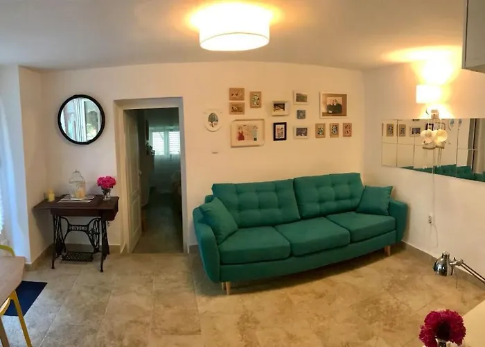 Garden Cozy Apartment
